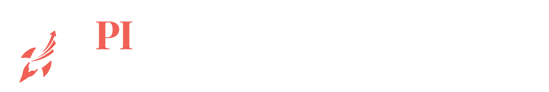 PI Startup Advisory