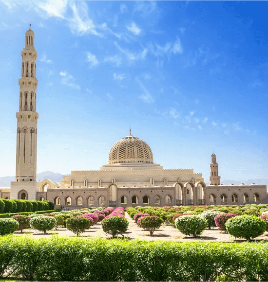 Knowledge Oasis Muscat